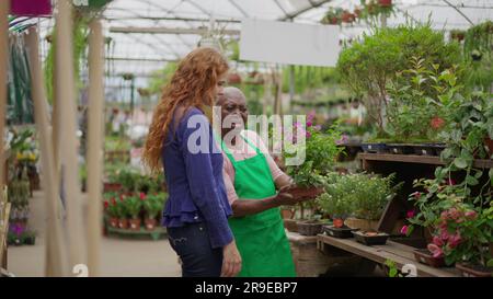 Seniorin, die jungen weiblichen Klienten in der Gartenwerkstatt hilft. Eine afroamerikanische ältere Frau, die Kunden beim Kauf von Pflanzen in einem kleinen Bus berät Stockfoto