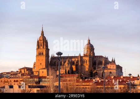 Salamanca, Spanien - 20. FEBRUAR 2022: Die Neue Kathedrale, Catedral Nueva ist eine der beiden Kathedralen von Salamanca. Gebaut zwischen 16. und 18. Centur Stockfoto