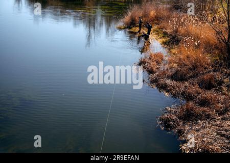 Salamanca, Spanien - 20. Februar 2022: Angeln am Tormes River in Salamanca, Spanien. Stockfoto