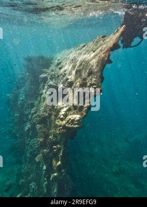 Japanisches Schiffswrack, Coron-Inseln, Palawan, Philippinen, Asien Stockfoto