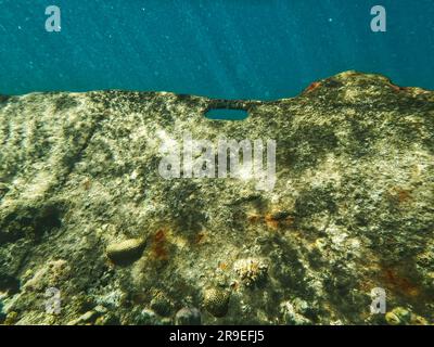 Japanisches Schiffswrack, Coron-Inseln, Palawan, Philippinen, Asien Stockfoto