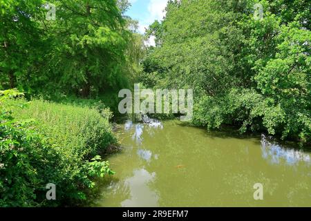 Der Fluss Eden fließt durch eine Waldlandschaft in der Landschaft von Kent Stockfoto