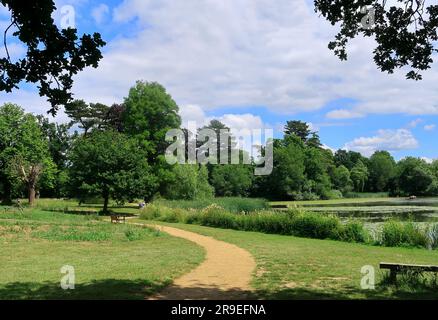 Fußweg entlang des Flusses Eden in der Landschaft von Kent Stockfoto