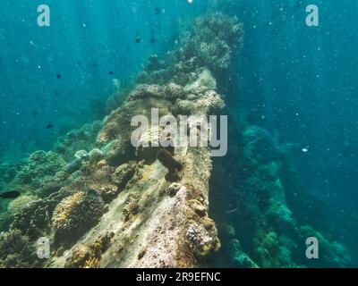 Coron Island, Philippinen, Asien Stockfoto