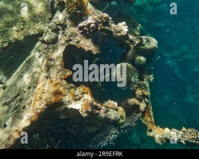 Japanisches Schiffswrack, Coron-Inseln, Palawan, Philippinen, Asien Stockfoto