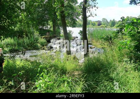 Ein kleiner, zwischen Bäumen versteckter Wasserfall in einer Waldlandschaft Stockfoto