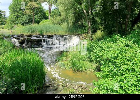 Ein kleiner Wasserfall, der über Felsen im Fluss Eden fließt Stockfoto