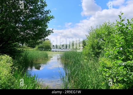 Ein schöner Sommertag auf dem Fluss Eden in der Landschaft von Kent Stockfoto