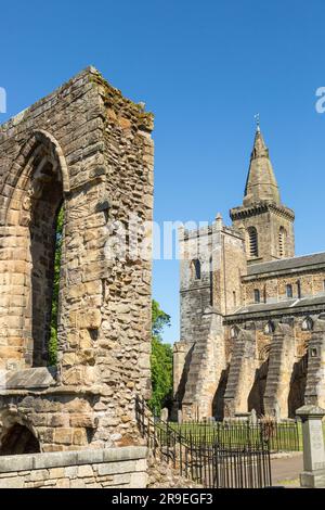 Dunfermline Palace und Abbey Überreste des Refektoriums, Fife, Schottland Stockfoto