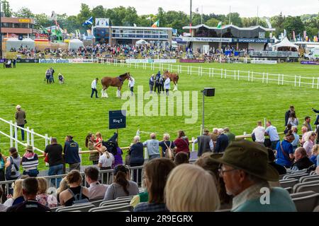 Beobachten Sie von der Haupttribüne der Royal Highland Show in Ingliston, Schottland Stockfoto