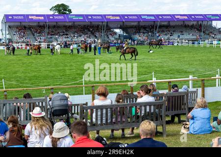 Leute, die Pferdeprozesse bei der Royal Highland Show in Edinburgh, Schottland, beobachten Stockfoto