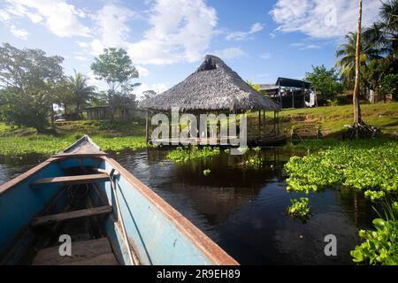 Blick vom Cuipari-See im peruanischen Dschungel. Stockfoto
