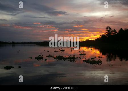 Blick auf den Sonnenuntergang vom Cuipari-See im peruanischen Dschungel. Stockfoto