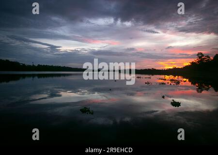 Blick auf den Sonnenuntergang vom Cuipari-See im peruanischen Dschungel. Stockfoto