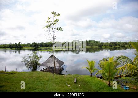 Blick vom Cuipari-See im peruanischen Dschungel. Stockfoto
