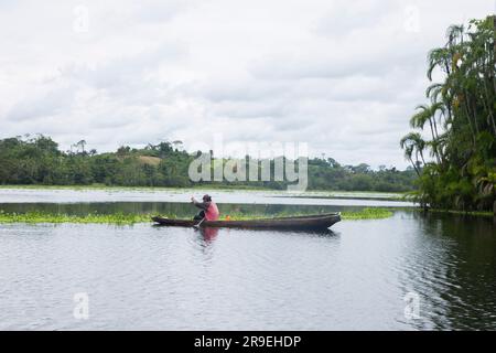Blick vom Cuipari-See im peruanischen Dschungel. Stockfoto