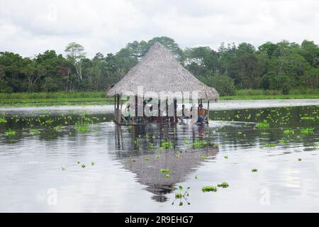 Blick vom Cuipari-See im peruanischen Dschungel. Stockfoto