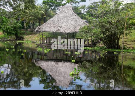 Blick vom Cuipari-See im peruanischen Dschungel. Stockfoto