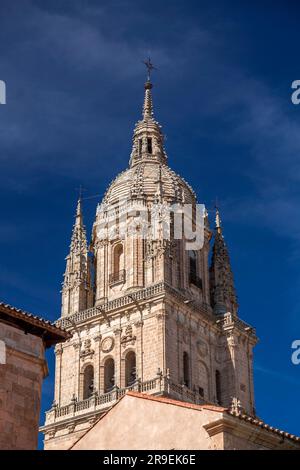 Architektonische Details der Neuen Kathedrale, Catedral Nueva ist eine der beiden Kathedralen von Salamanca. Stockfoto