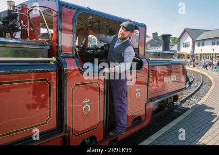 Ein Fahrer im Taxi von David Lloyd George - eine Double Fairlie Dampflok an der Porthmadog Station der Ffestiniog Railway, North Wales Stockfoto