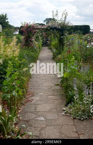 Rosenbogen oder Spalier mit Engischen Rosen, die im Sommer in einem von elisabethanischen Mauern umgebenen Garten wachsen. Stockfoto
