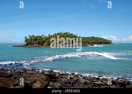 Südamerika, Guyana, Kourou, die Teufelsinsel ist heute ein wunderschöner Ort mit ihren Kokosnussbäumen, aber es war die Haftanstalt des Dreyfus-Kapitäns. Stockfoto