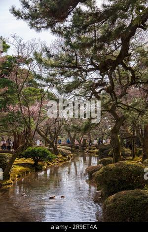 Blick auf Kenroku-en. Kanazawa, Japan. Als einer von nur 3 „perfekten Gärten“ in Japan ist dieser Park zu jeder Jahreszeit wunderschön gestaltet Stockfoto