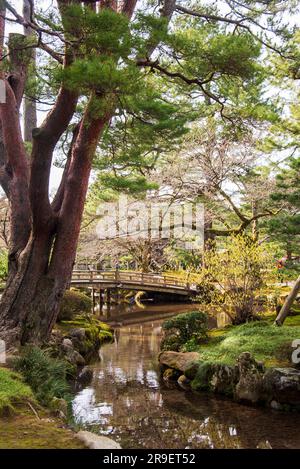 Blick auf Kenroku-en. Kanazawa, Japan. Als einer von nur 3 „perfekten Gärten“ in Japan ist dieser Park zu jeder Jahreszeit wunderschön gestaltet Stockfoto