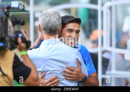 Sao Paulo, Brasilien. 26. Juni 2023. SP - SAO PAULO - 06/25/2023 - BRAZILEIRO A 2023, PALMEIRAS X BOTAFOGO - Abel Ferreira Spieler von Palmeiras während eines Spiels gegen Botafogo im Arena Allianz Parque für die BRAZILEIRO A 2023 Meisterschaft. Foto: Marcello Zambrana/AGIF/Sipa USA Kredit: SIPA USA/Alamy Live News Stockfoto