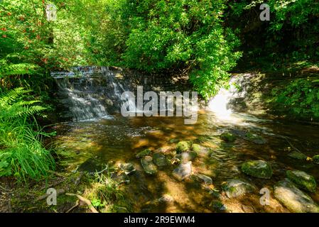 Kleine Wasserfälle in der Nähe von Glencar Waterfall, County Sligo, Irland Stockfoto