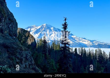 Mount Rainier vom High Rock Lookout Stockfoto