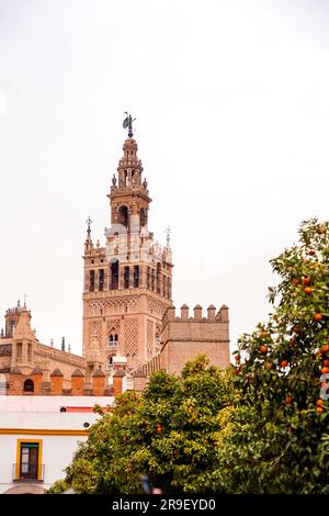 La Giralda ist der Glockenturm der Kathedrale von Sevilla. Es wurde ursprünglich als Minarett für die große Moschee von Sevilla während der Herrschaft der Almo erbaut Stockfoto