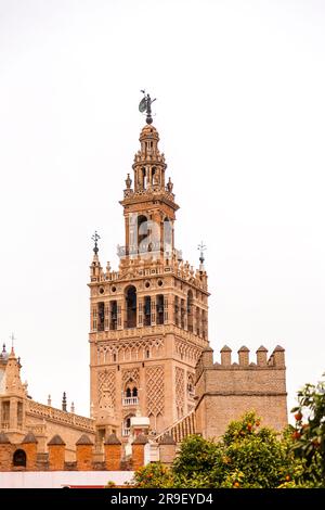 La Giralda ist der Glockenturm der Kathedrale von Sevilla. Es wurde ursprünglich als Minarett für die große Moschee von Sevilla während der Herrschaft der Almo erbaut Stockfoto