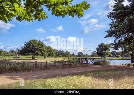 Wolken an einem Sommermorgen in Bushy Park Ponds in Surrey, Großbritannien Stockfoto