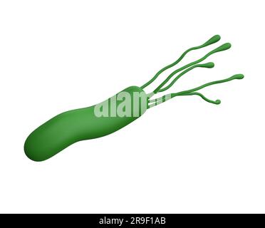 Helicobacter pylori-Bakterien 3D geben ein realistisches Medizinsymbol für Logo isoliert mit Schnittpfad. Mikrobiologische Gesundheit menschliche Illustration Stockfoto