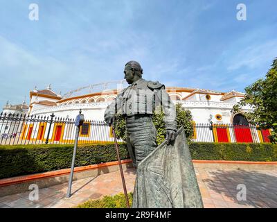 Sevilla, Spanien – 24. FEBRUAR 2022: Die Bronzestatue von Francisco Romero Lopez, einem spanischen Stierkämpfer, bekannt als Curro Romero außerhalb der Stierkampfarena des Stockfoto