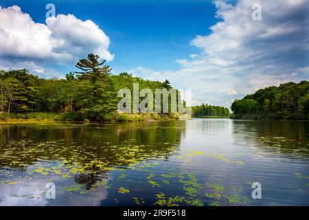 Egypt Meadows Lake im Bruce Lake State Forest Nsatural Area, Pocono Mountains, Pennsylvania Stockfoto