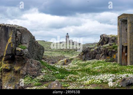 Robert Stevensons Leuchtturm, Isle of May, Firth of Forth, Schottland, Großbritannien Stockfoto