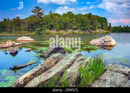 Egypt Meadows Lake im Bruce Lake State Forest Nsatural Area, Pocono Mountains, Pennsylvania Stockfoto