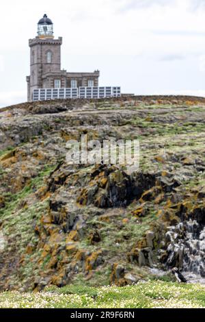 Robert Stevensons Leuchtturm, Isle of May, Firth of Forth, Schottland, Großbritannien Stockfoto