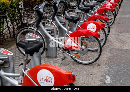 Sevilla, Spanien – 24. FEBRUAR 2022: Öffentliche Gemeinschaftsfahrräder, die an einem Bahnhof in Sevilla, Spanien, geparkt wurden. Der Gemeindedienst heißt Sevici. Stockfoto