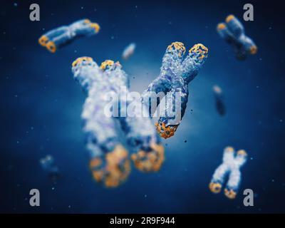 An beiden Enden der Chromosomen befinden sich Telomere. Die Telomerlänge wird durch den Lebensstil beeinflusst und hat direkte Auswirkungen auf die menschliche Gesundheit und die Lebensdauer. Stockfoto