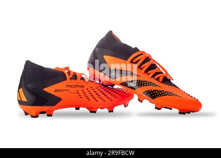 Italien - 23. Juni 2023: ADIDAS Predator Accuracy 2 Fußballschuhe, rote und schwarze Fußballschuhe isoliert auf Weiß Stockfoto