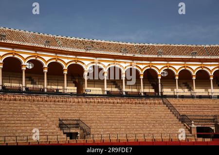 Sevilla, Spanien - 24. FEBRUAR 2022: Setas de Sevilla, Pilze von Sevilla, ursprünglich Metropol Parasol am La Encarnacion Square. Entworfen von J Stockfoto