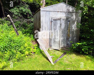 Ein Holzschuppen im Wald Stockfoto