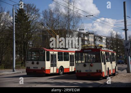 Skoda 14Tr Trolleybus Stockfoto