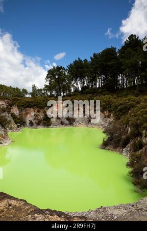 Devils Bath Green Pool im Waiotapu – Wai-o-Tapu – Thermal Wonderland in der Rotorua Region auf North Island, Neuseeland. Foto: Rob Watkins Stockfoto