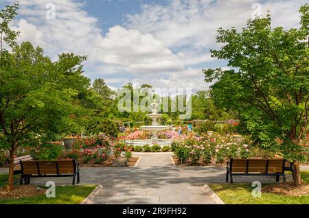 Rudolf W. van der Goot Rose Garden, Colonial Park, Somerset, NJ Stockfoto