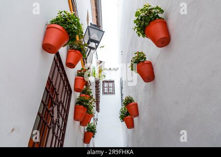 Straßenszene mit traditioneller andalusischer Architektur in der historischen Stadt Cordoba, Spanien. Stockfoto