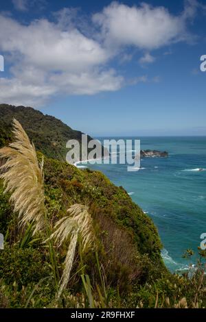 Der Blick über das Tasmanische Meer vom Knights Point Lookout, Westküste, Südinsel, Neuseeland. Foto: Rob Watkins Stockfoto